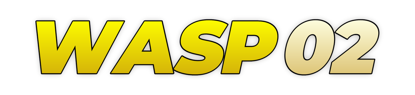 wasp02